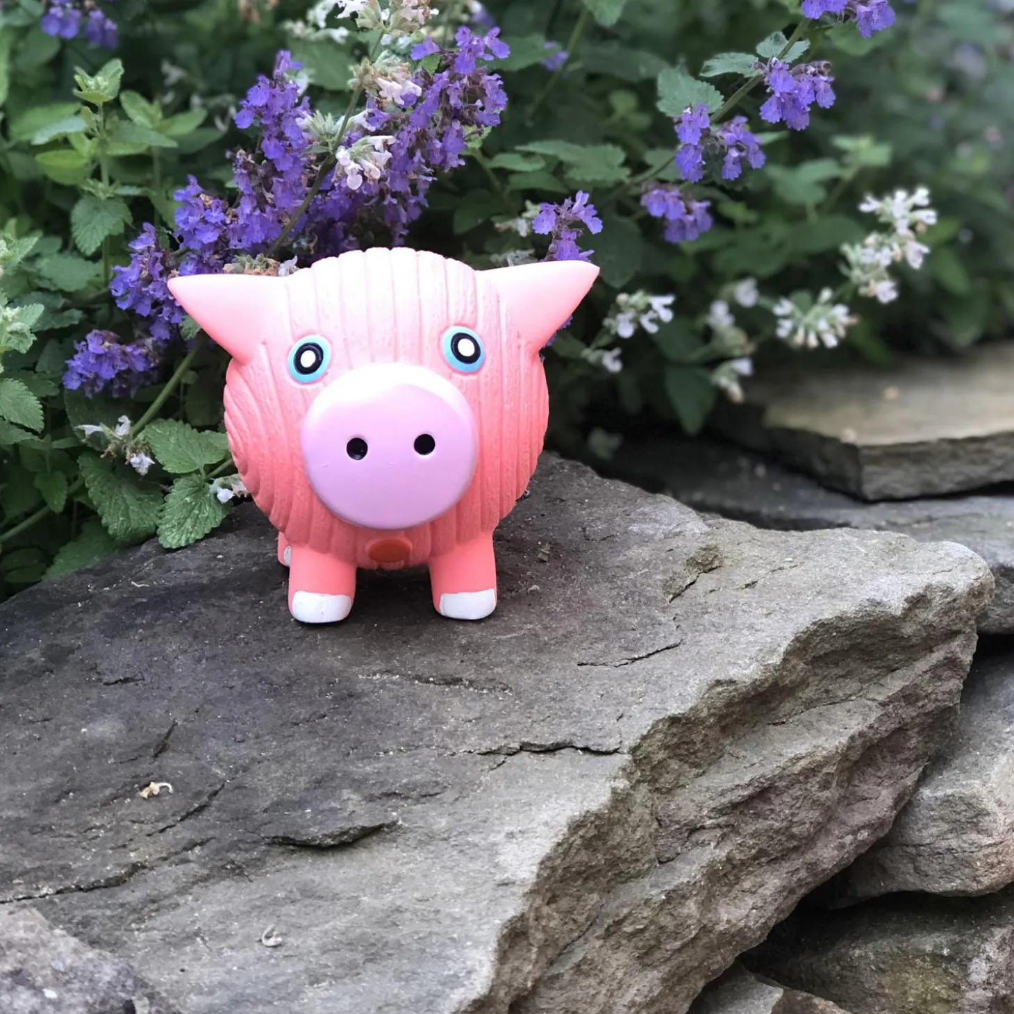 Ruff-Tex Hamlet the Pig Dog Toy