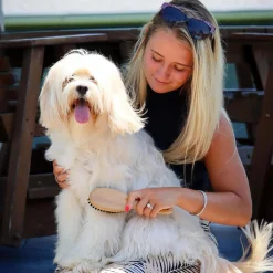 Safari Bristle Dog Brush