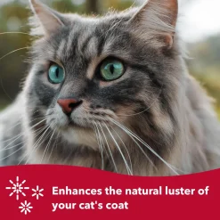 Safari Complete Cat Brush