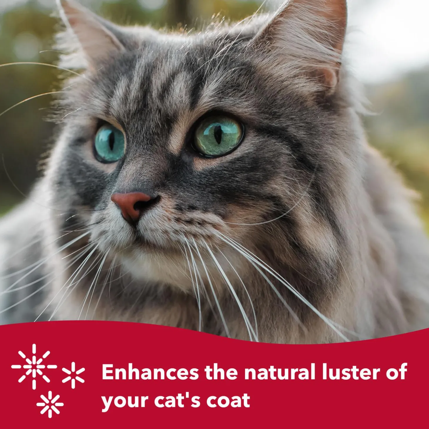 Safari Complete Cat Brush