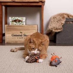 Safari Sneakers Cat Toys