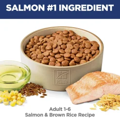Salmon & Brown Rice Recipe Adult Dog Food