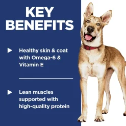 Salmon & Brown Rice Recipe Adult Dog Food