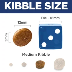 Salmon & Brown Rice Recipe Adult Dog Food