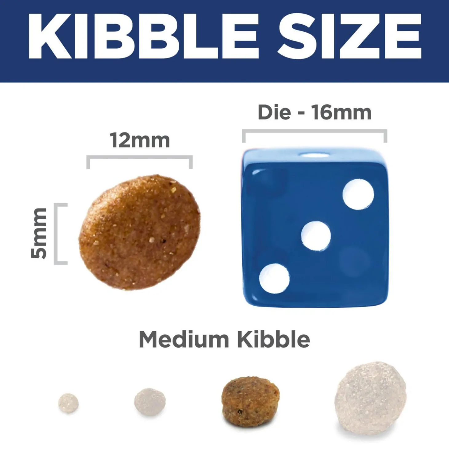 Salmon & Brown Rice Recipe Adult Dog Food