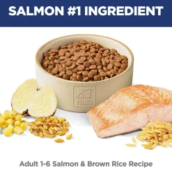 Salmon & Brown Rice Recipe Adult Cat Food
