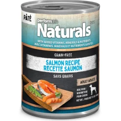 Salmon & Veggies Recipe Pate Adult Dog Food