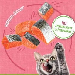 Salmon Dinner Pate Cat Food