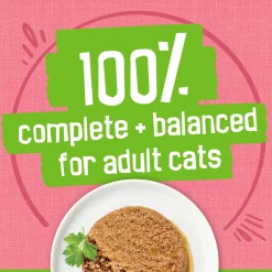 Salmon Dinner Pate Cat Food