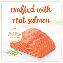 Salmon Feast Pate Adult Cat Food