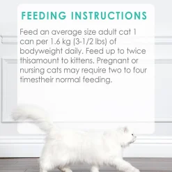 Salmon Feast Pate Adult Cat Food