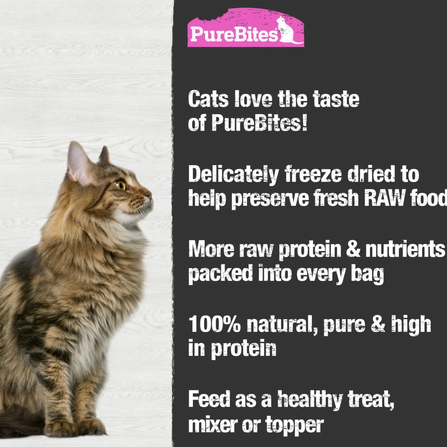 Salmon Recipe Cat Treats