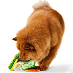 Sandwich Snuffle Dog Matt