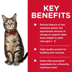 Savoury Salmon Entree Adult Cat Food