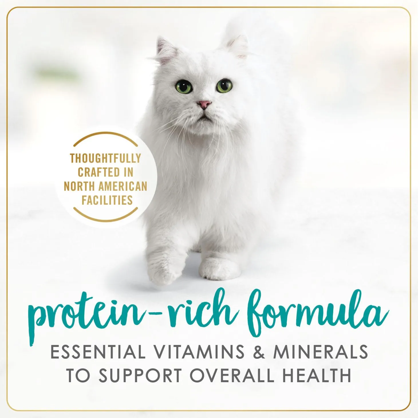 Seafood Feast Pate Adult Cat Food