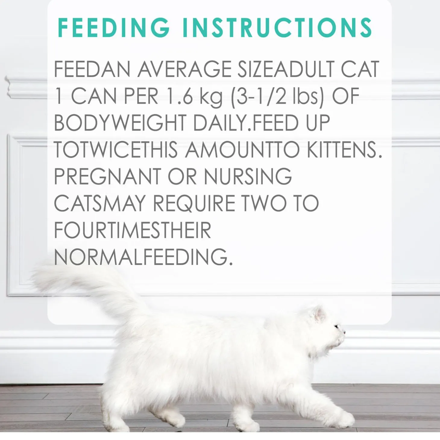 Seafood Feast Pate Adult Cat Food