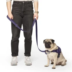 Seamless Knit Purple & Lavender Dog Leash