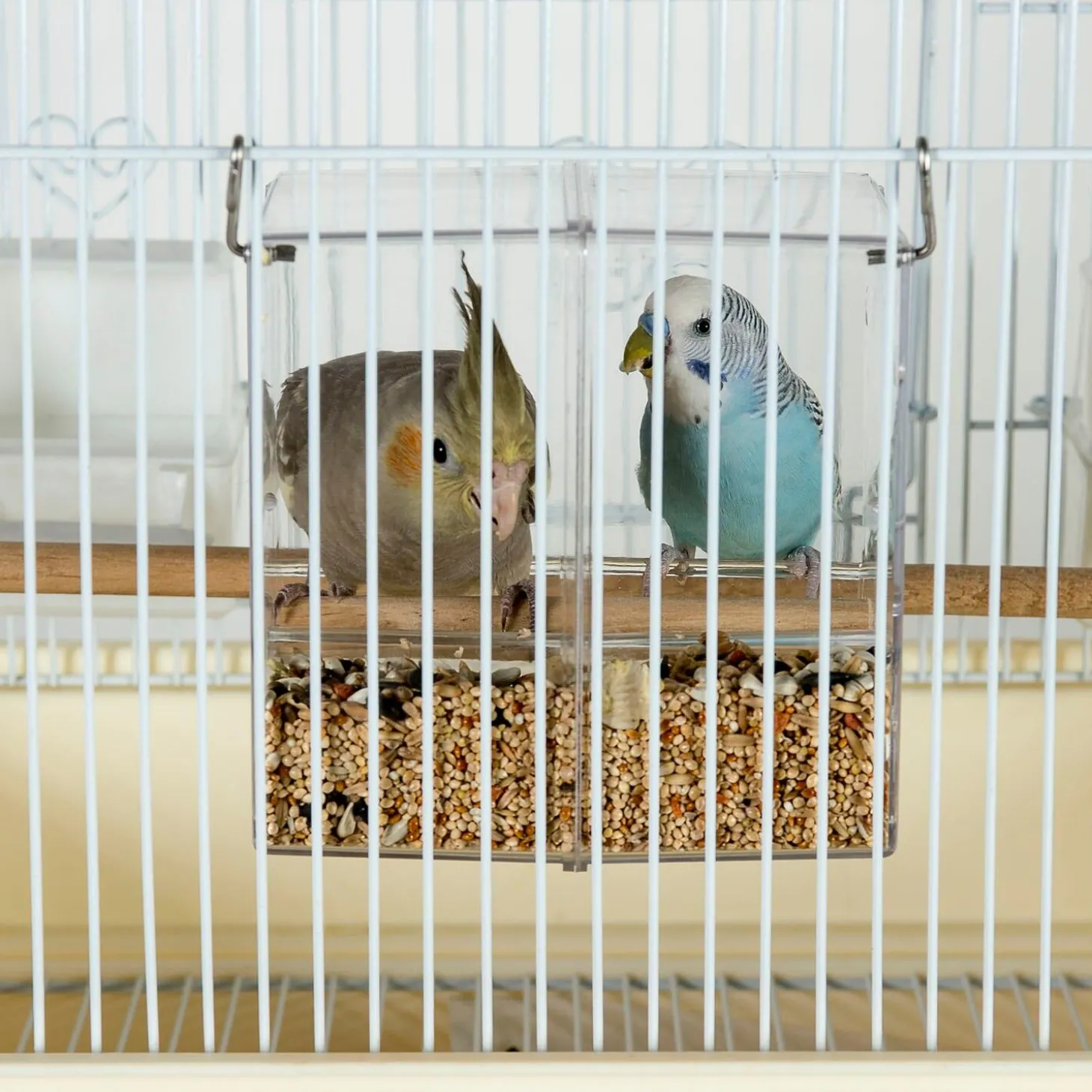 Seed Corral No Mess Feeder