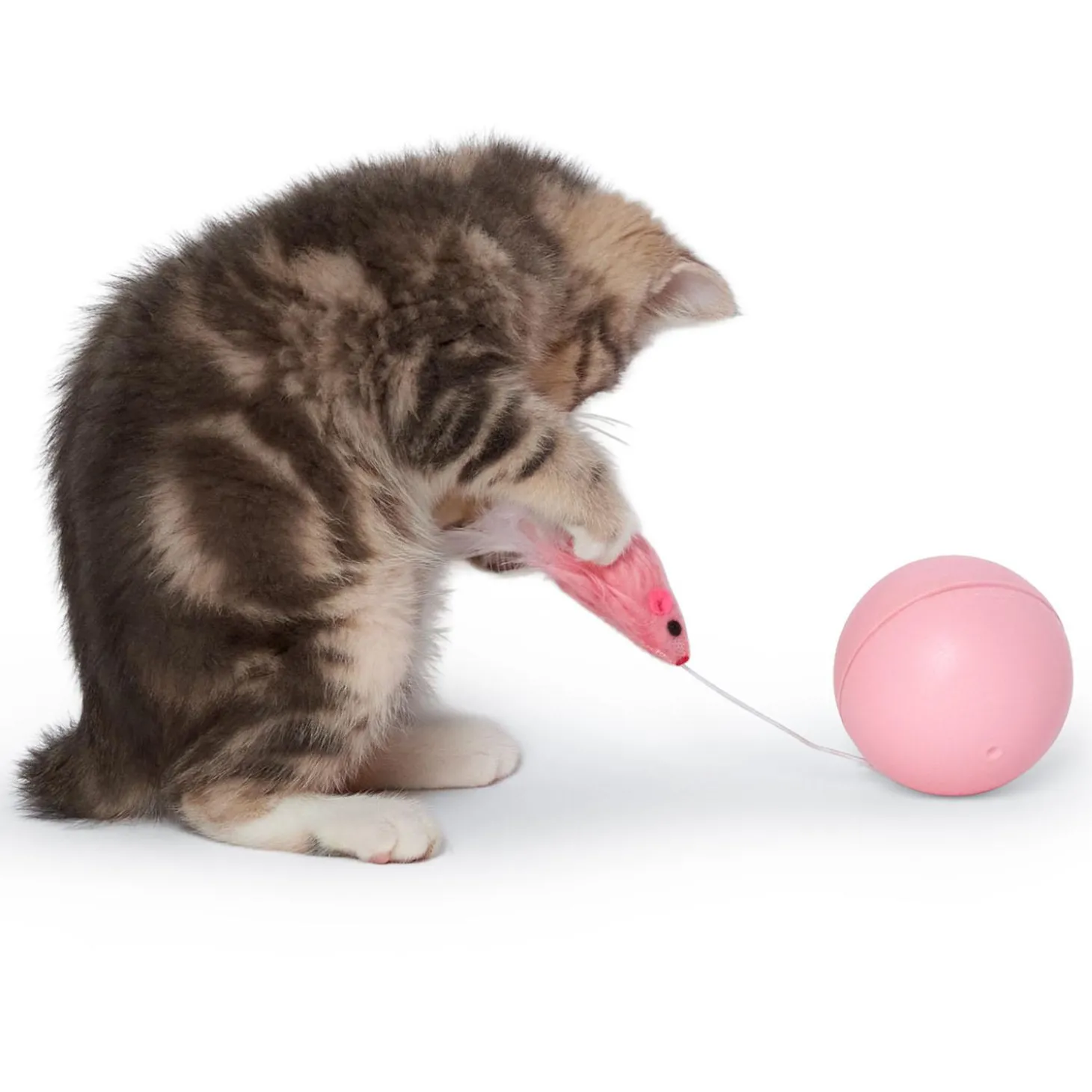Semi-Automatic Rolling Ball with Mouse Teaser Cat Toy