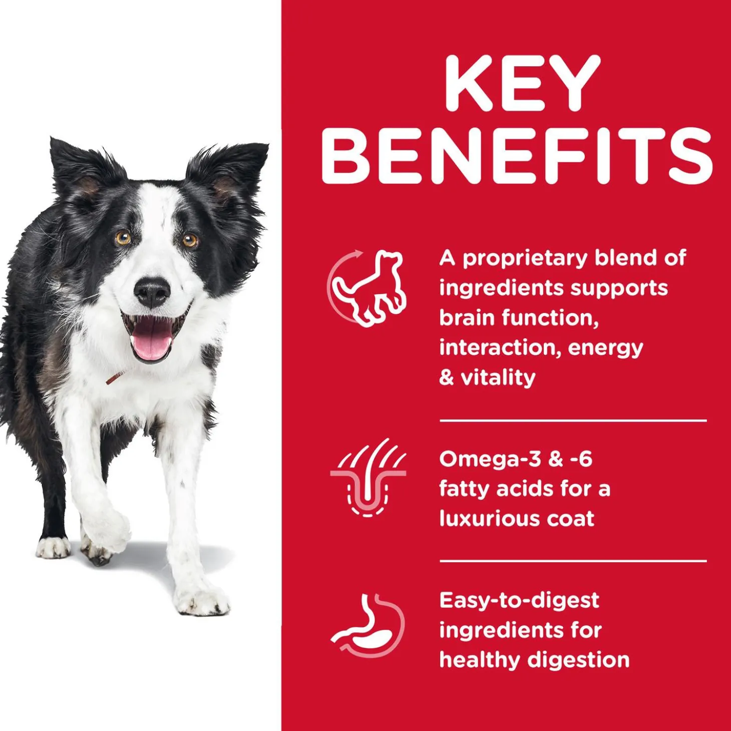 Senior Vitality Chicken & Rice Recipe Adult 7+ Dog Food