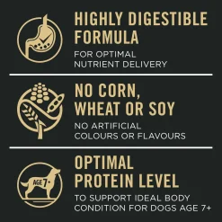 Sensitive Skin & Stomach Salmon & Rice Formula Adult 7+ Dog Food