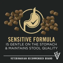 Sensitive Skin & Stomach Salmon & Rice Formula Adult 7+ Dog Food