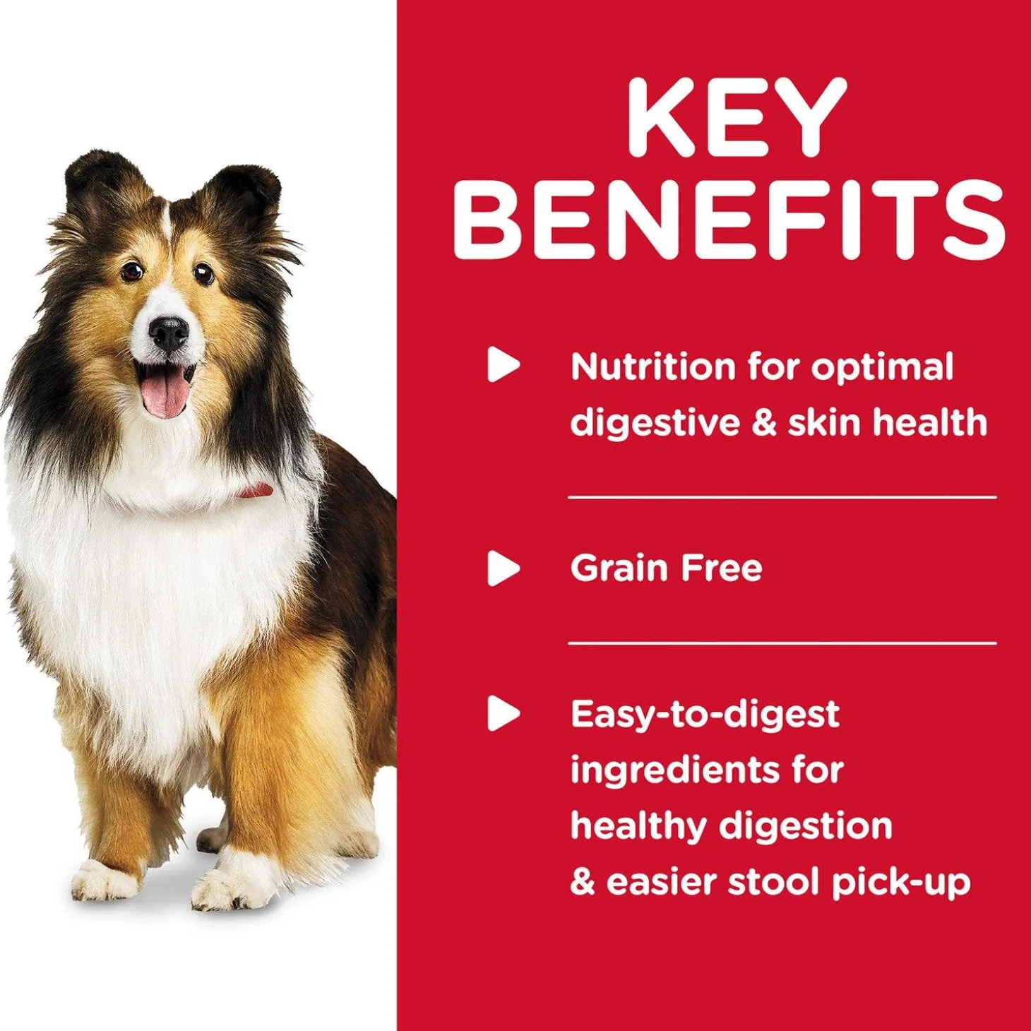 Sensitive Stomach & Skin Chicken & Vegetable Entree Adult Dog Food