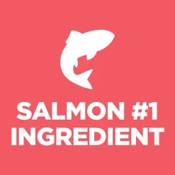 Sensitive Stomach & Skin Salmon & Vegetable Stew Puppy Dog Food