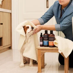 Shine Boost Dog Shampoo