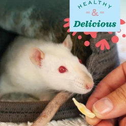 Simple Rewards Banana Small Animal Treats