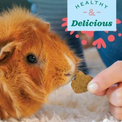 Simple Rewards Carrot & Dill Baked Small Animal Treats