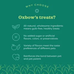 Simple Rewards Strawberry Small Animal Treats