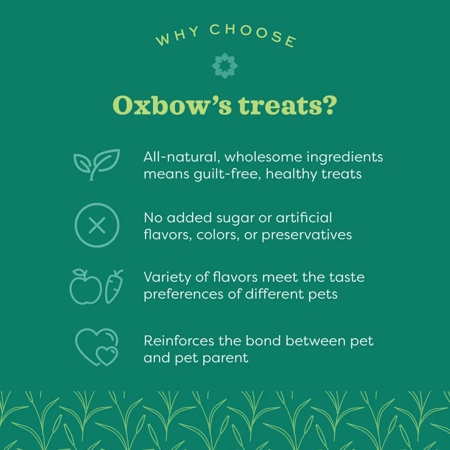 Simple Rewards Strawberry Small Animal Treats