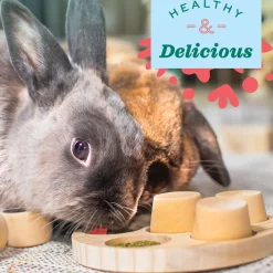 Simple Rewards Strawberry Small Animal Treats