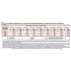 Size Health Nutrition Medium Adult 7+ Dog Food