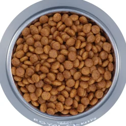 Size Health Nutrition X-Small Adult Dog Food