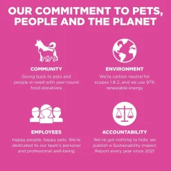 Skin + Coat Care Chicken With Grains Recipe Cat Food