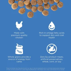 Skin + Coat Care Chicken With Grains Recipe Dog Food