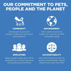 Skin + Coat Care Chicken With Grains Recipe Dog Food