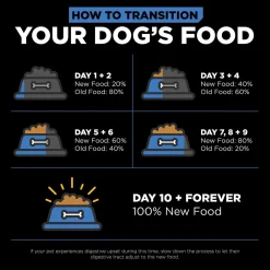 Skin + Coat Care Chicken With Grains Recipe Dog Food