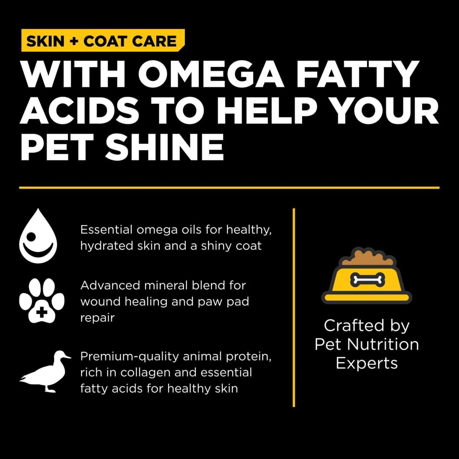 Skin + Coat Care Duck With Grains Recipe Dog Food