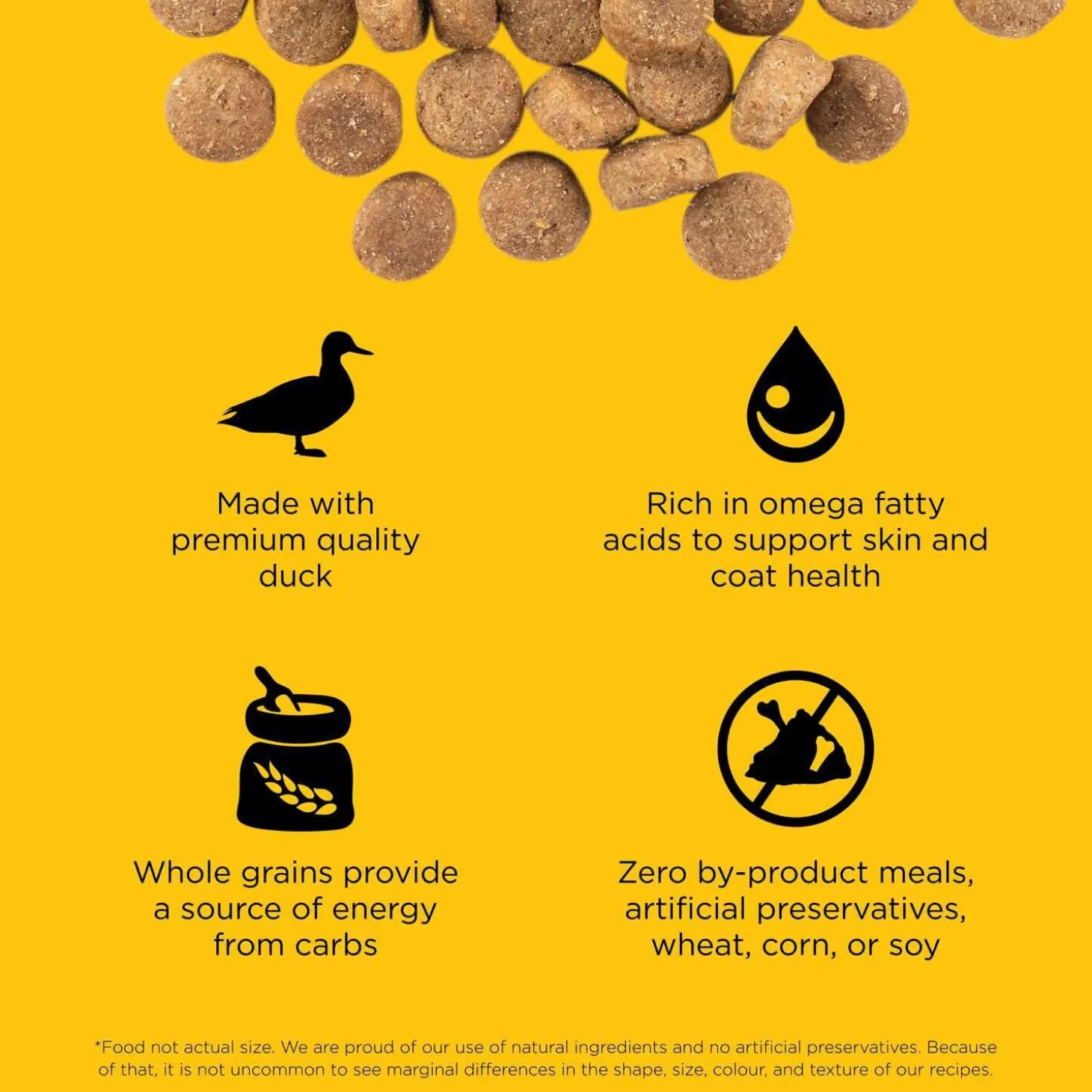 Skin + Coat Care Duck With Grains Recipe Dog Food