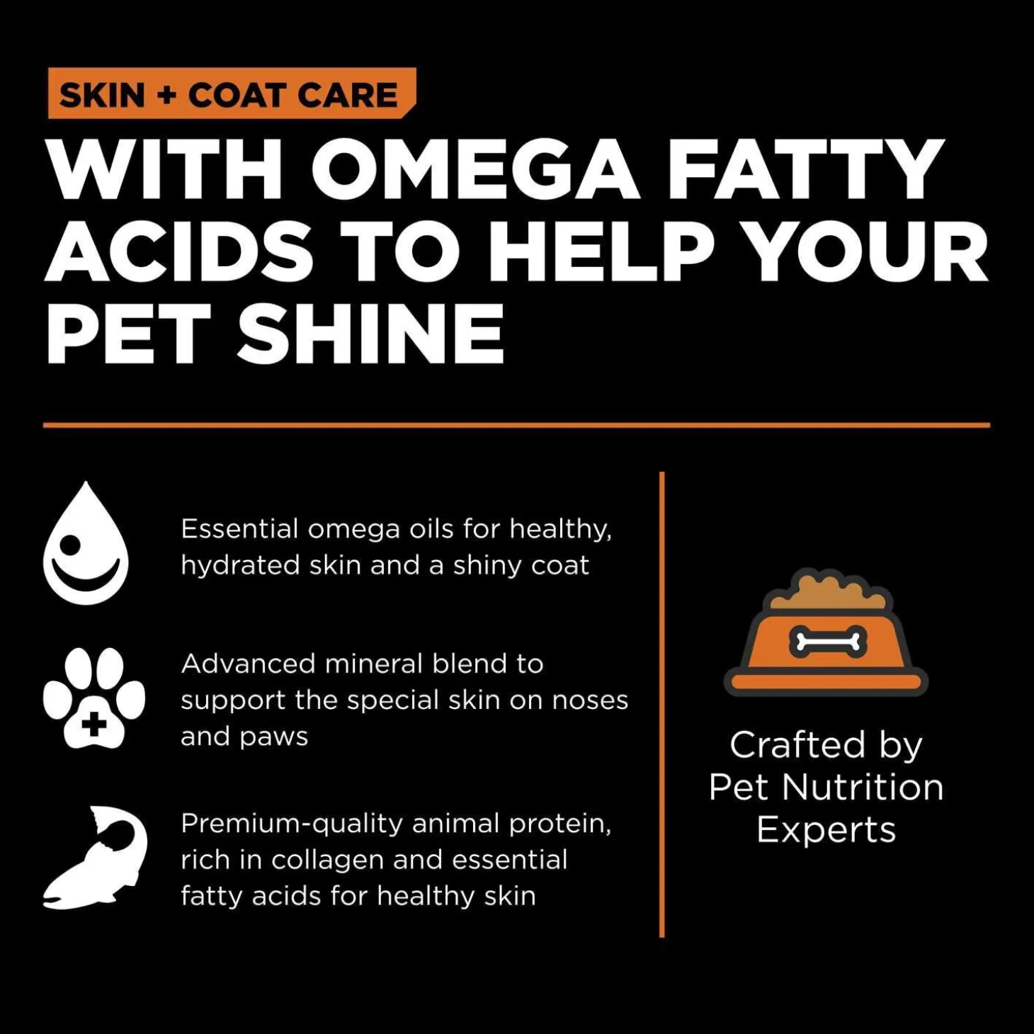 Skin + Coat Care Grain-Free Salmon Recipe Cat Food