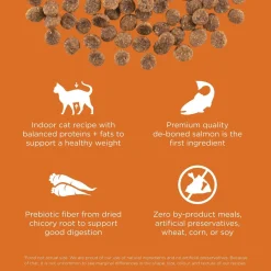 Skin + Coat Care Grain-Free Salmon Recipe Cat Food