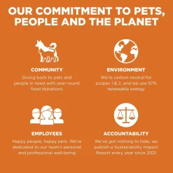 Skin + Coat Care Grain-Free Salmon Recipe Cat Food