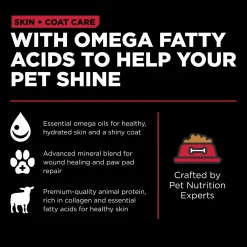 Skin + Coat Care Lamb With Grains Recipe Dog Food