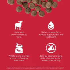 Skin + Coat Care Lamb With Grains Recipe Dog Food