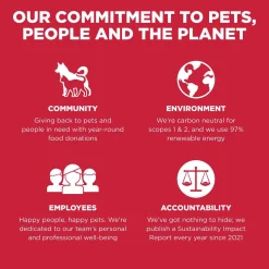 Skin + Coat Care Lamb With Grains Recipe Dog Food