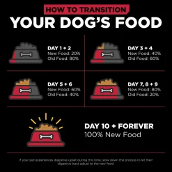 Skin + Coat Care Lamb With Grains Recipe Dog Food