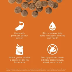 Skin + Coat Care Salmon With Grains Recipe Dog Food